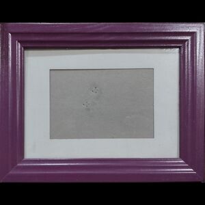 Purple 5x7 Pinnacle Wooden Frame